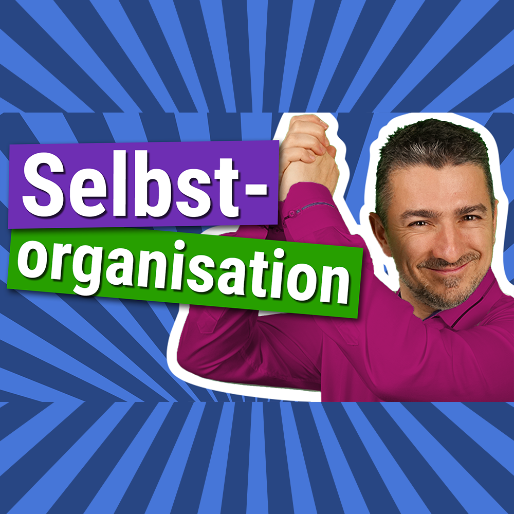 Sebastians Projekte, Teams & Menschen