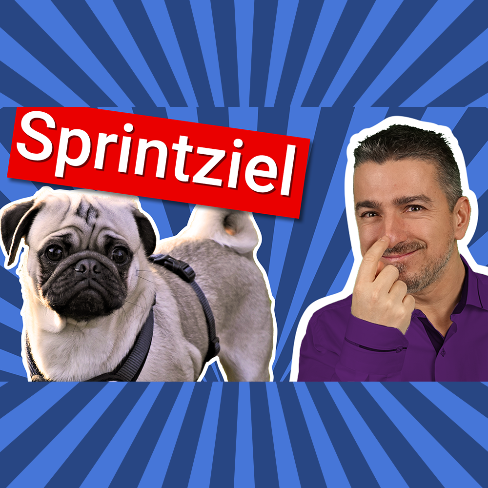Sebastians Projekte, Teams & Menschen